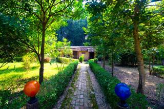 Wild Planet Eco Retreat - Bhurkīā - 6