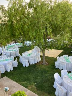 Villa Μυρσιφαίη - Koropi - 1
