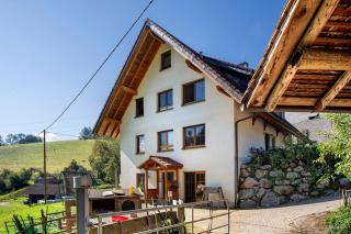 Hinterbauernhof Fewo Pferdeglück - Stegen - 9