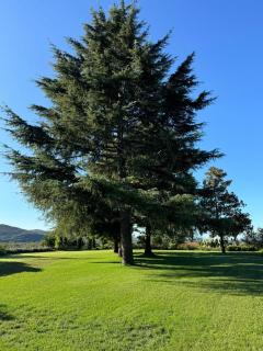 Tenuta Il Poggio Teano - Teano - 7