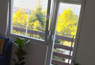 Apartman "Milka" Bajina Bašta - Bajina Bašta - 9