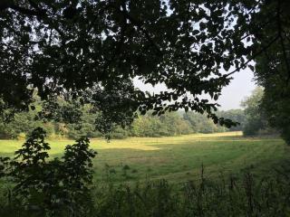 The Little Lodge House - Ayot Saint Peter - 6