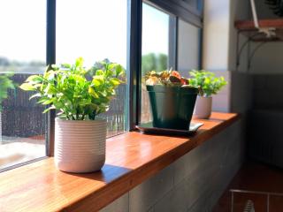 Fynbos Guest Houses - Hopefield - 9