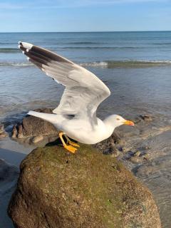 Welooveyou Ayre & Soul - 8