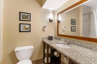 Comfort Suites At the University - Conway - 3