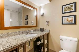 Comfort Suites At the University - Conway - 1