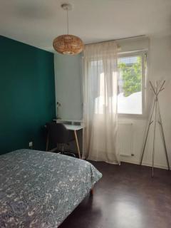 Appartement rue Hatt - Strasbourg - 9