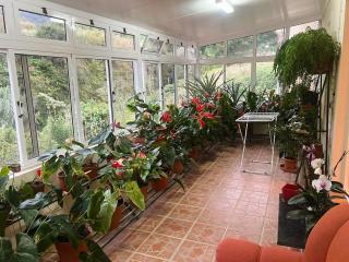 Vale dos Passarinhos - 2