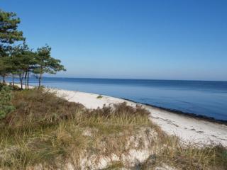 Holiday Home Elsamaria - 400m from the sea by Interhome - Neksø - 8