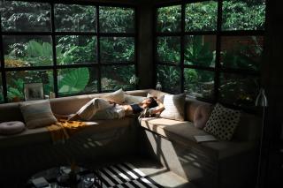 Bhadra - The estate villa - - 0
