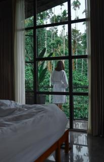 Bhadra - The estate villa - - 9