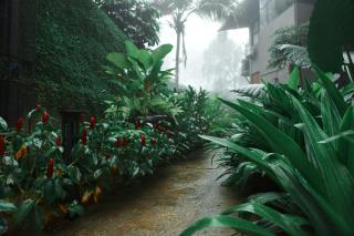 Bhadra - The estate villa - - 5