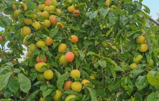 Gorgeous Home In Førde - 3