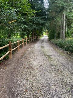 La Kabane des Hetres rouges - Spa - 6