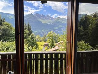 Chalet Montana mit Bergblick - Brunig - 0