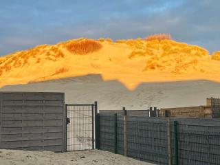 Maison des dunes - Berck-sur-Mer - 6