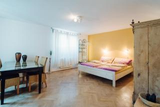 Sina's Boutique Apartment #0 - Sibiu - 0