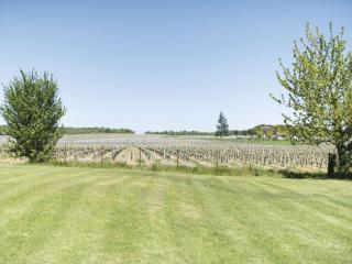 Domaine de Quittignan Brillette - 2