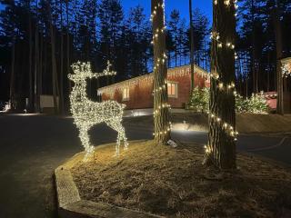 Forrest Kitakaruizawa - 9