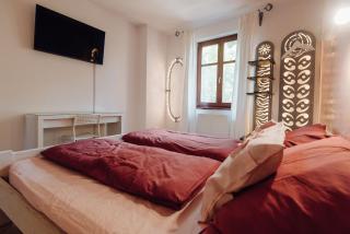Sina's Boutique Apartment #2 - Sibiu - 1