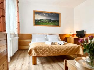 Hotel Horník - Saar - 9