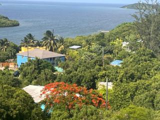 Ellen Bay Cottages - Saint Philips - 9
