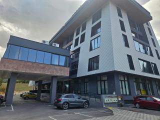 Mountain goat Bjelašnica - 1