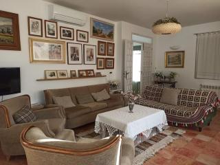 Casa rural Olivar de Albarizas - Fernancaballero - 5