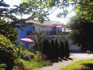 Villa with Pool - Leon's Holiday Homes - Dottikon - 2