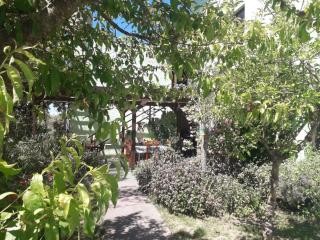 Hostal la Caleta - 4