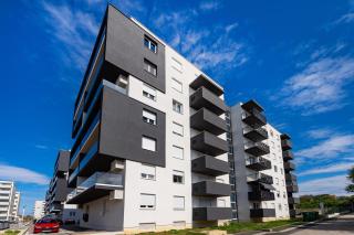 Dalmatian Breeze - 1