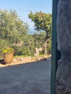 14474 Location saisonnière BAS DE VILLA dans un domaine privé prestigieux - 5