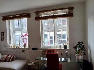 Sunny and spacious flat in NW3 - Londra - 1