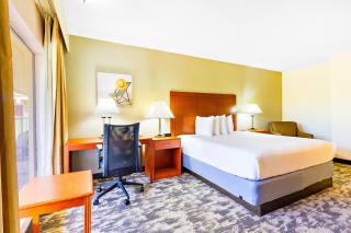 Oasis Boca Raton - Boca Raton - 7
