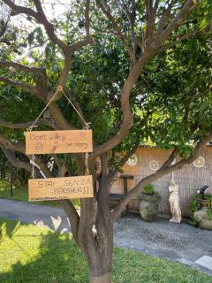 Garden apartments Ischia super centrale - Ischia - 7