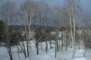 Birches and Blueberries with Beach Access - East Charleston - 4