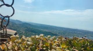 Luxury Apartment - 8