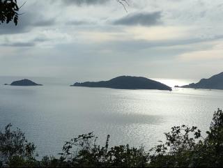 Luxury Apartment - 2