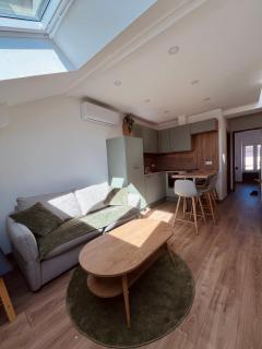 appartement terrasse Roof Top climatisé - Gaillac - 6