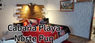 Cabaña Playa Norte Puq cabaña 1 - Punta Arenas - 0