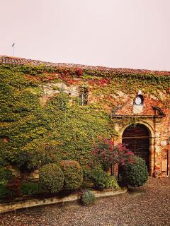Teresa al Belvedere Rooms&HolidayApartments Camere&Appartamenti - Castellinaldo - 8