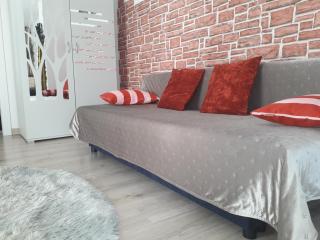 Całoroczny Apartament u Grzegorza - Lidzbark - 6