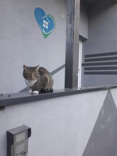 Całoroczny Apartament u Grzegorza - 5