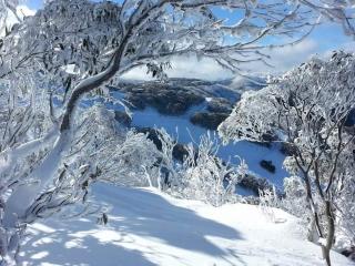 Pinnacle View Lodge lockoff one bedroom apartment - Merrijig - 0