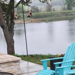 Honey Farms - 6