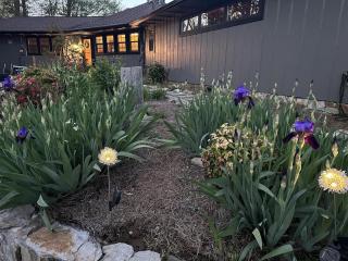 Smokey Vista Lodge - Bryson City - 6