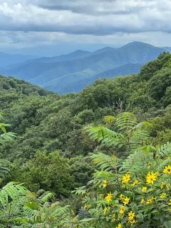 Mountain Loft - Bryson City - 3