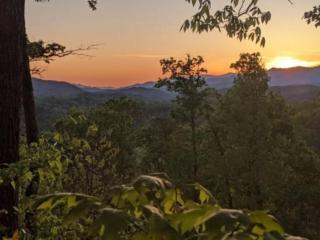 Shooting Star Ridge - Whittier - 4
