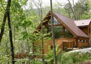 White Tail Hollow - Roundhill - 8