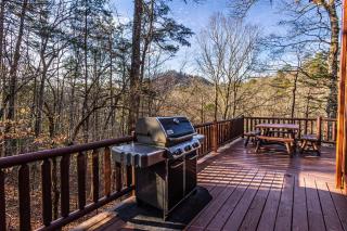 White Tail Hollow - Roundhill - 2
